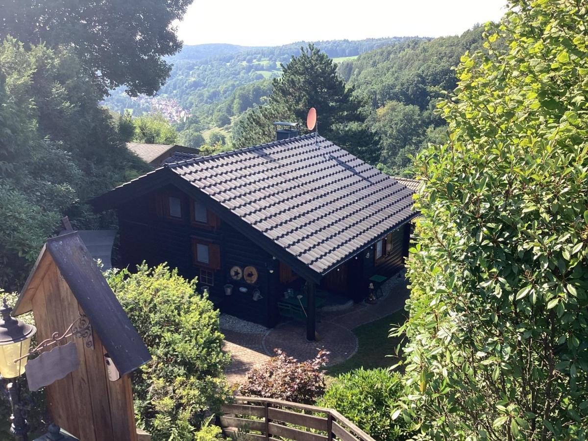 Chalet Spessart Dammbach Экстерьер фото