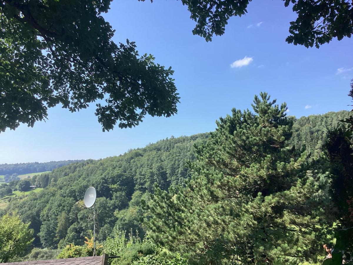 Chalet Spessart Dammbach Экстерьер фото