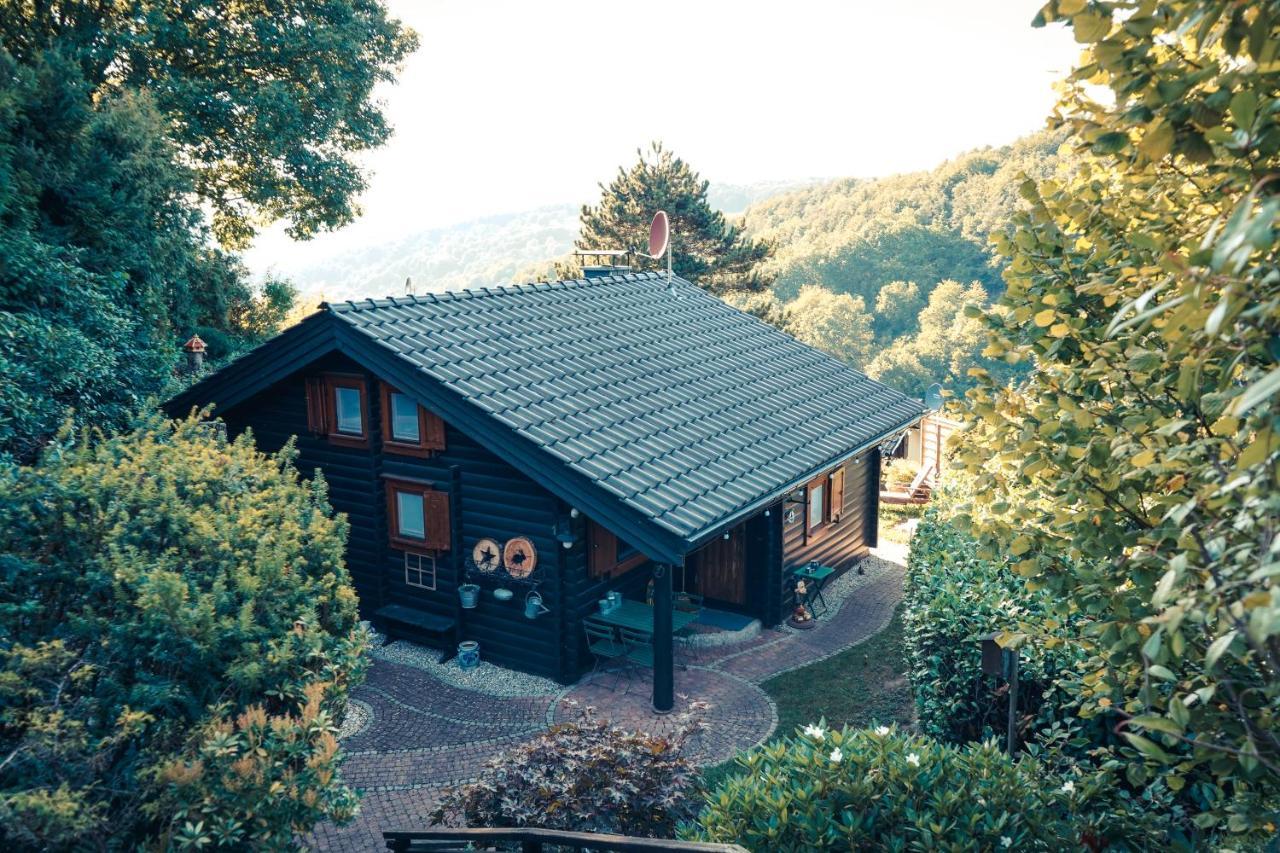 Chalet Spessart Dammbach Экстерьер фото
