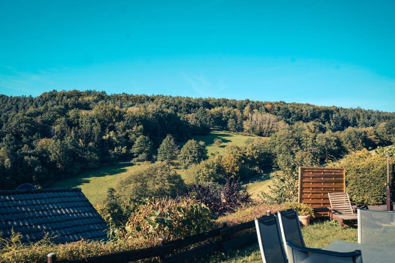 Chalet Spessart Dammbach Экстерьер фото