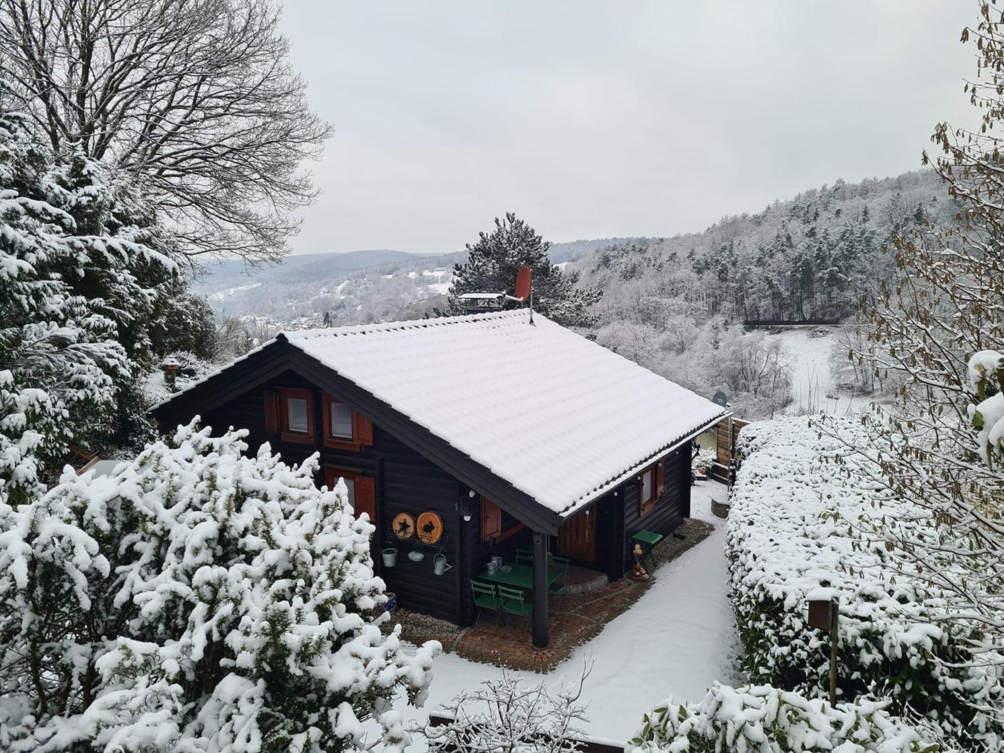 Chalet Spessart Dammbach Экстерьер фото