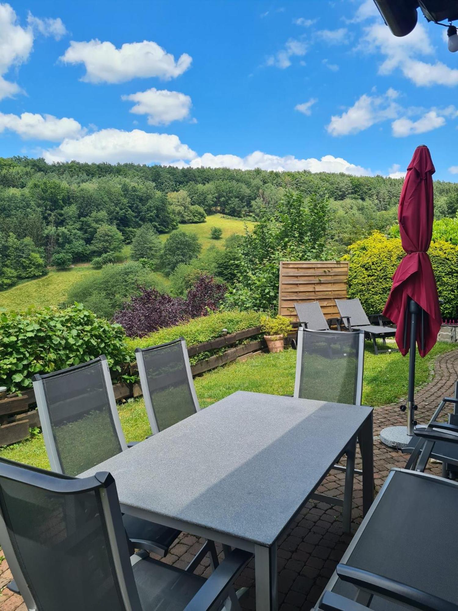 Chalet Spessart Dammbach Экстерьер фото