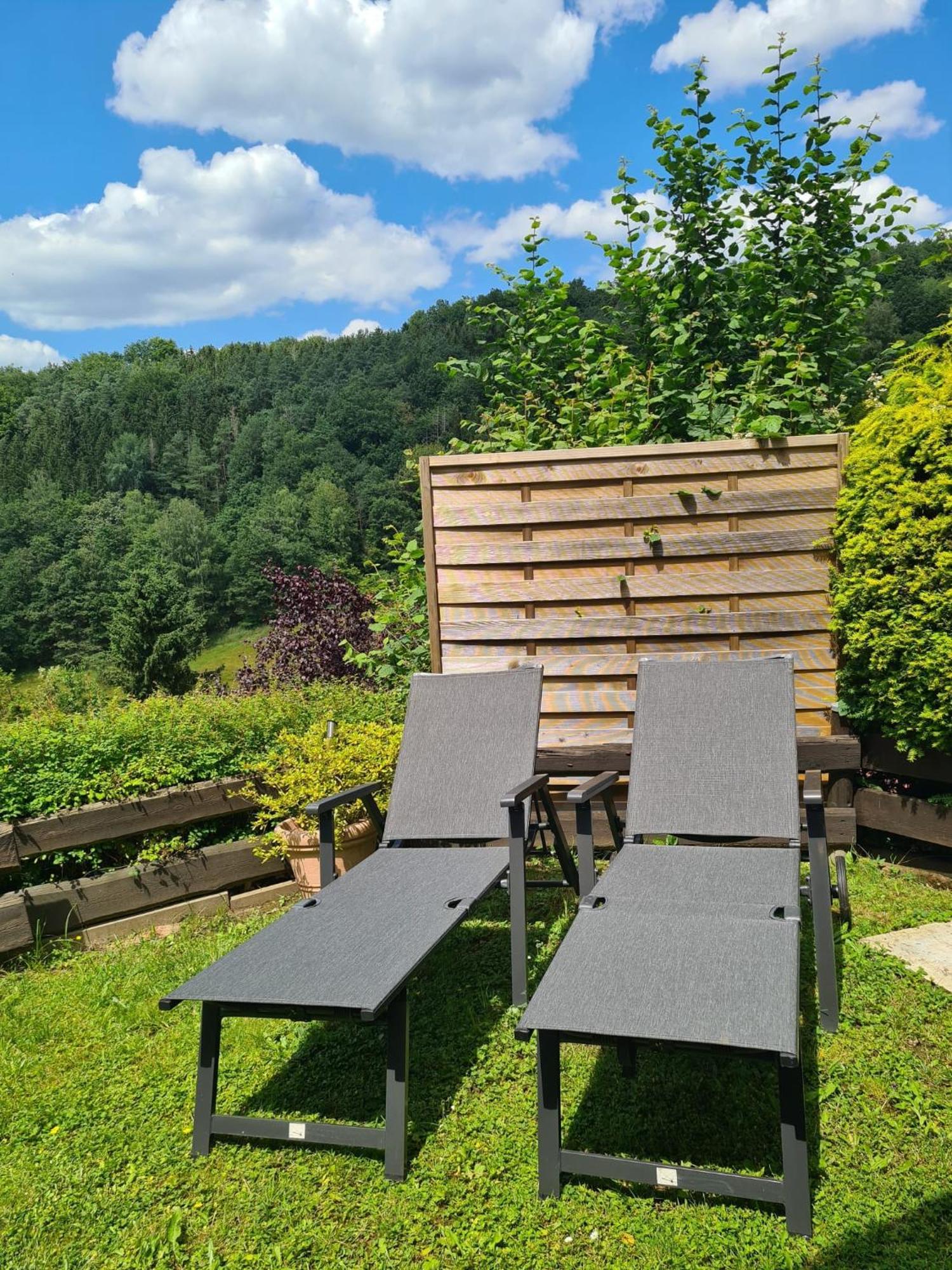 Chalet Spessart Dammbach Экстерьер фото
